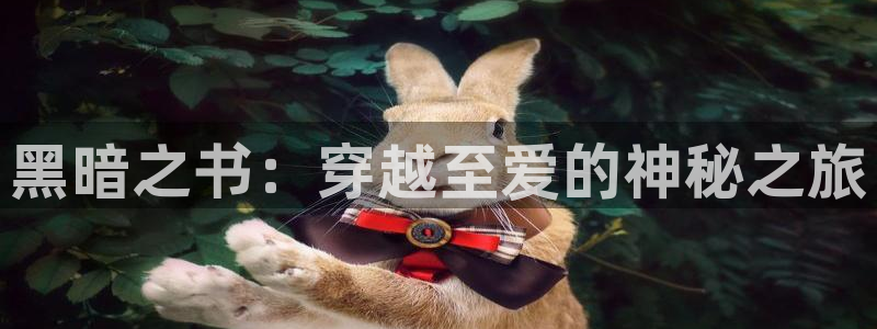记得香蕉成熟时3迅雷:黑暗之书:穿越至爱的神秘之旅配图